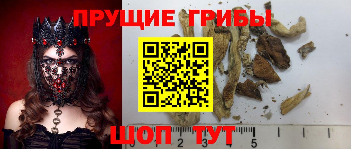даркнет сайт  Галлюциногенные грибы MAGIC MUSHROOMS  Вход с VPN  Псилоцибиновые грибы MAGIC MUSHROOMS  Мирный 